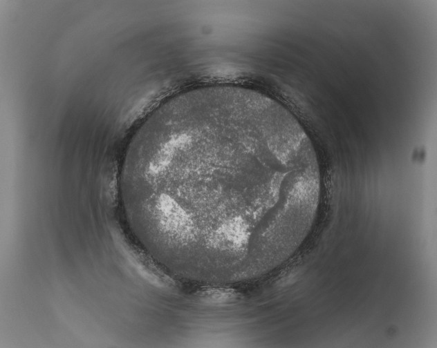 X0000111630642200908141344