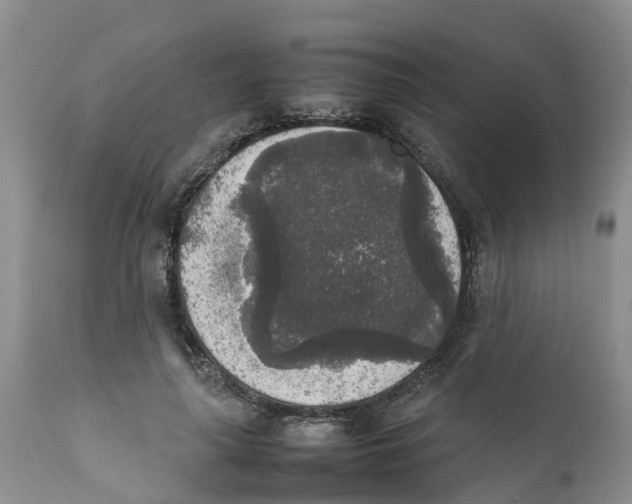X0000111630643200908141344