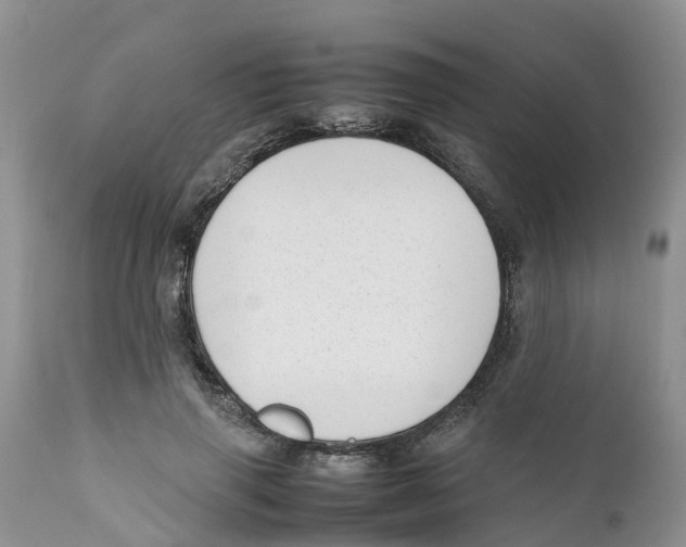 X0000111630645200908141344