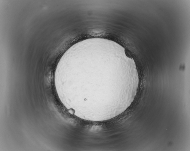 X0000111630647200908141344