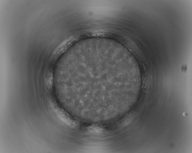 X0000111630648200908141344