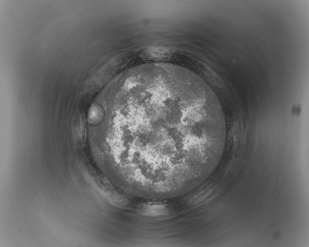 X0000111630651200908141344