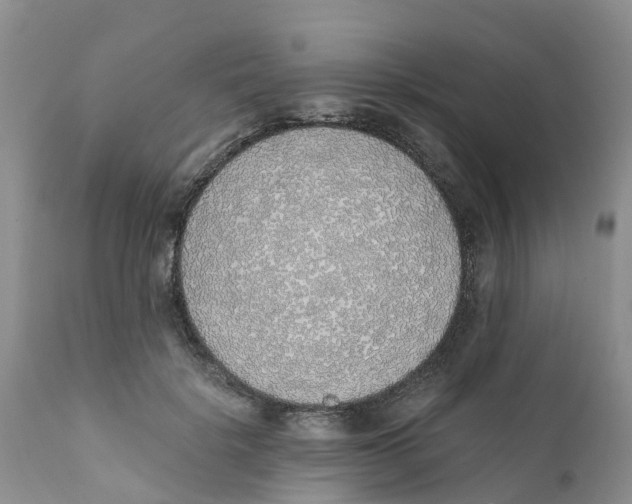 X0000111630652200908141344