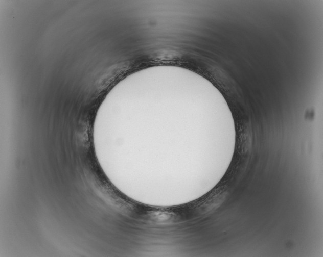 X0000111630654200908141344