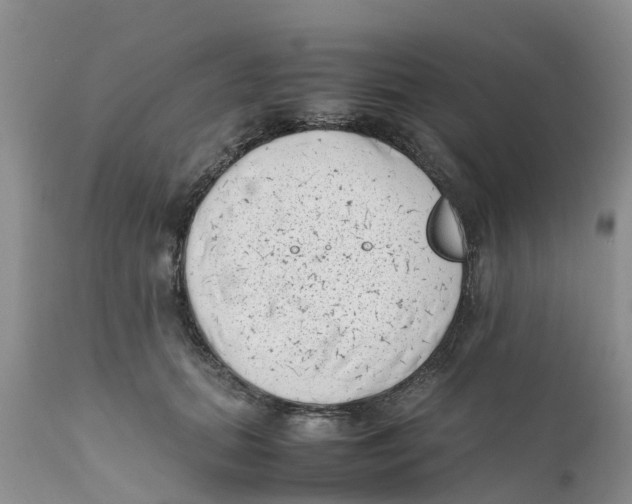 X0000111630655200908141344