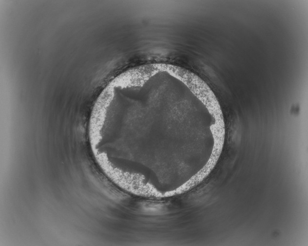 X0000111630661200908141344