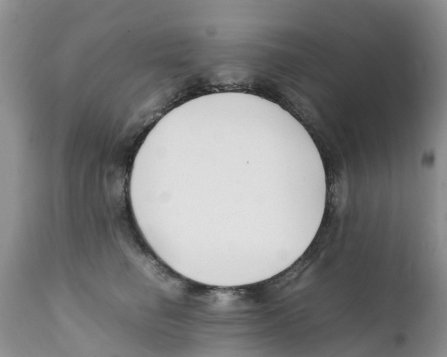 X0000111630662200908141344