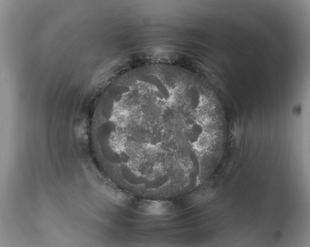 X0000111630663200908141344