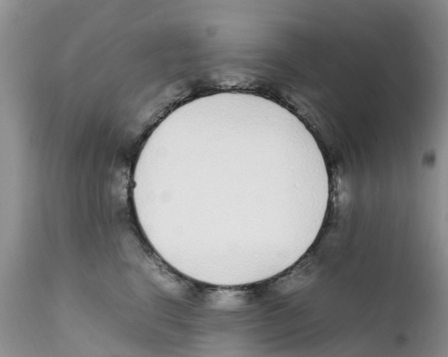 X0000111630664200908141344