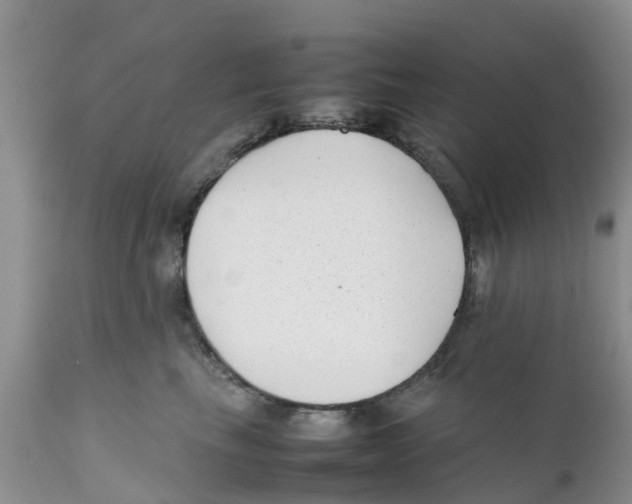 X0000111630665200908141344