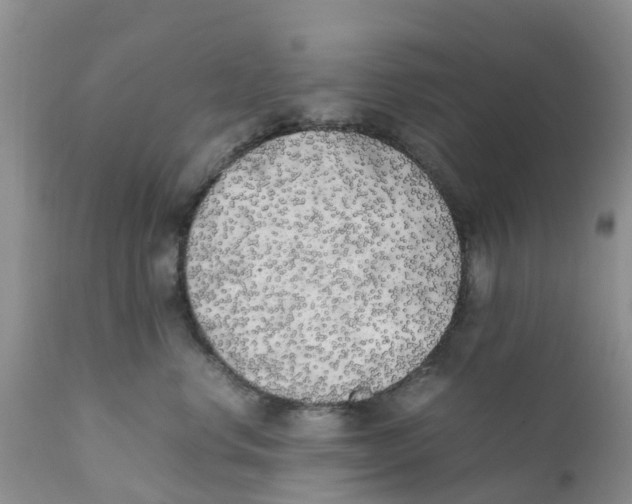 X0000111630668200908141344