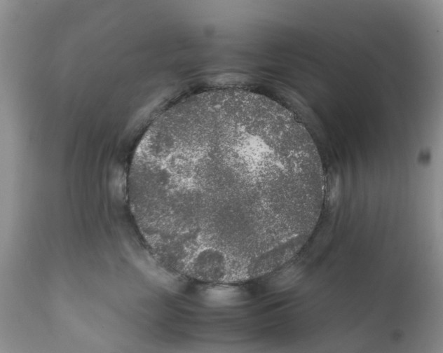 X0000111630669200908141344