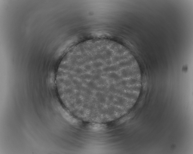 X0000111630670200908141344
