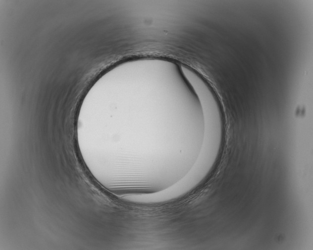 X0000111630673200908141343