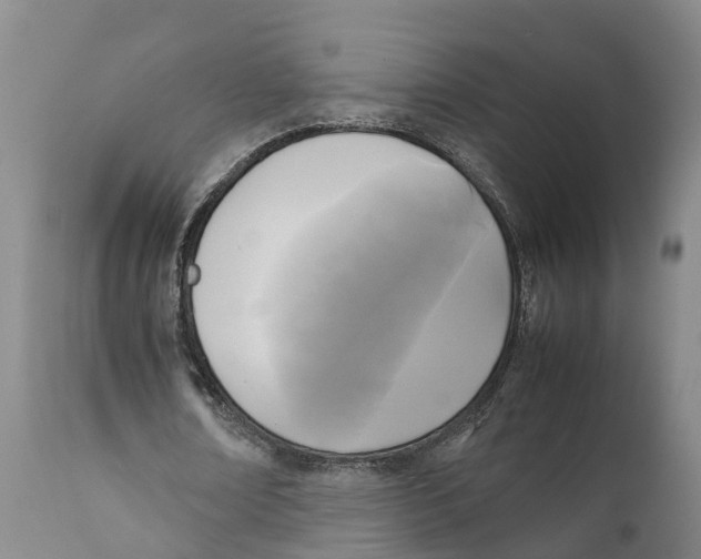 X0000111630674200908141343