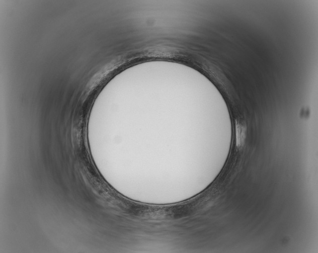 X0000111630675200908141343
