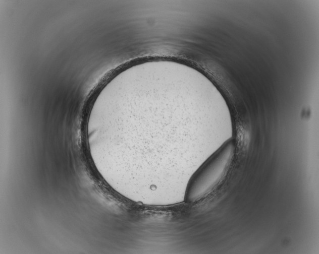 X0000111630676200908141343