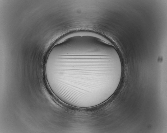 X0000111630677200908141343