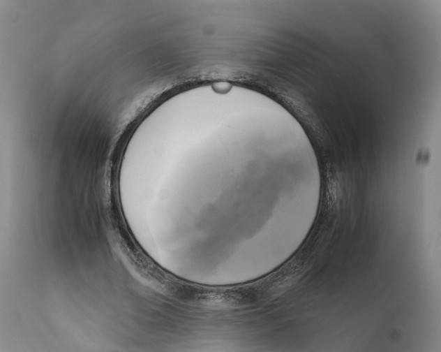 X0000111630678200908141343