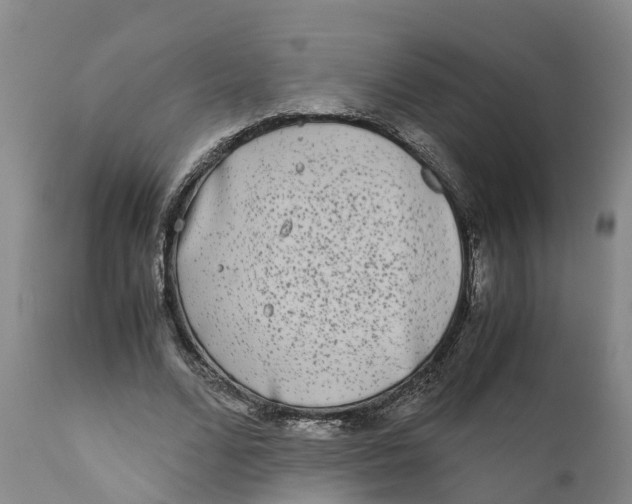 X0000111630680200908141343