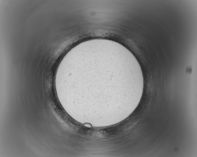 X0000111630683200908141343