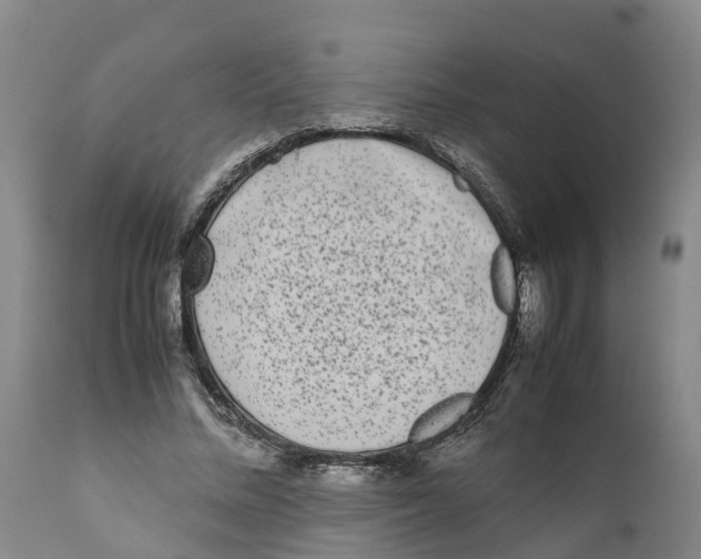 X0000111630684200908141343