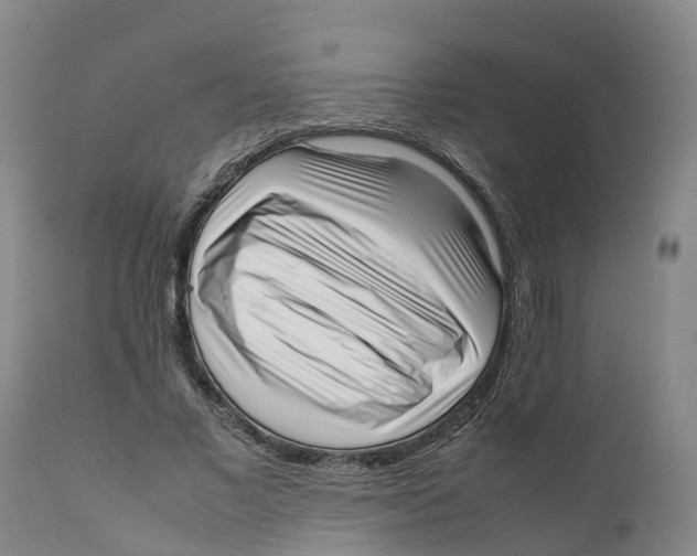X0000111630685200908141343