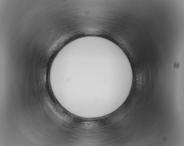 X0000111630686200908141343