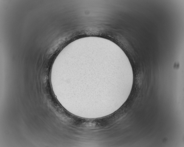 X0000111630687200908141343