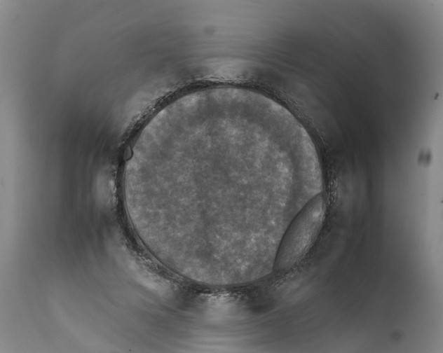 X0000111630688200908141343