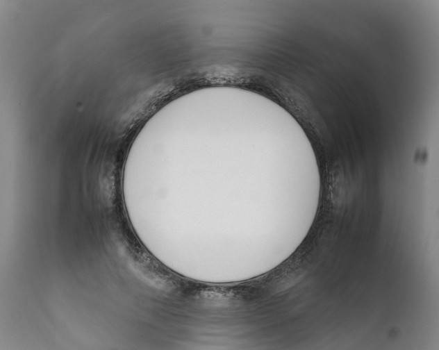 X0000111630690200908141343
