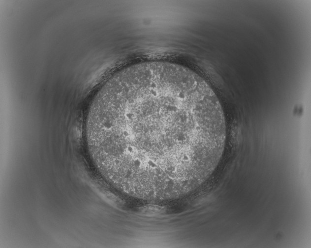 X0000111630691200908141343
