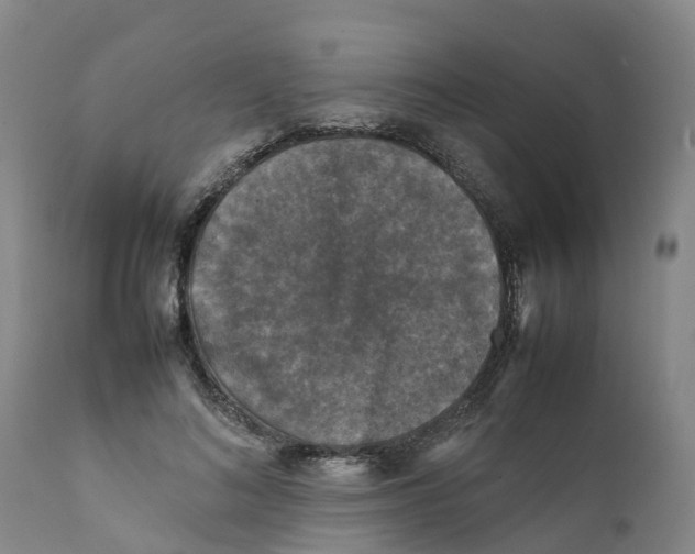 X0000111630692200908141343