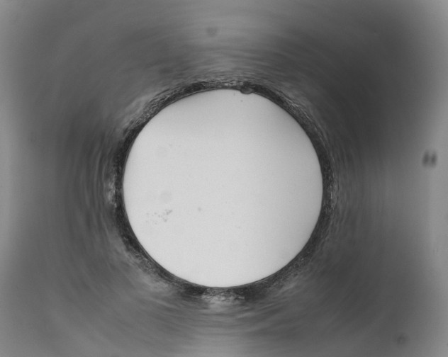 X0000111630693200908141343