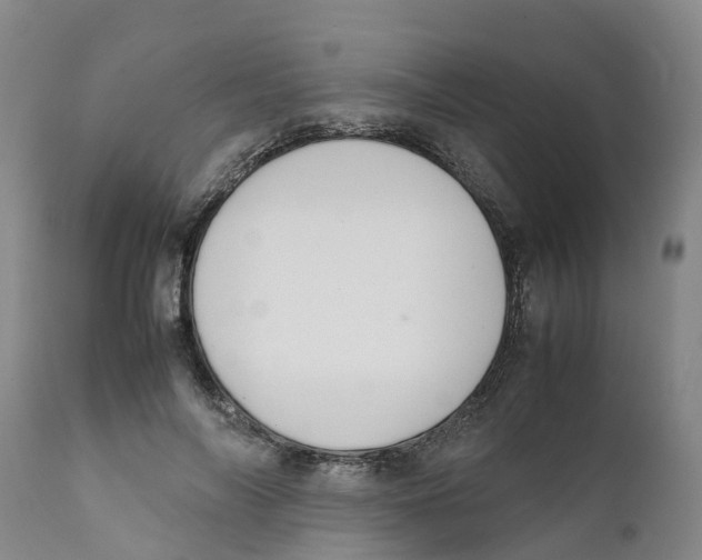 X0000111630694200908141343