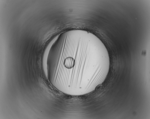 X0000111630696200908141343