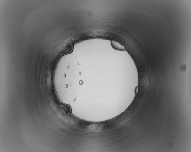 X0000111630700200908141343