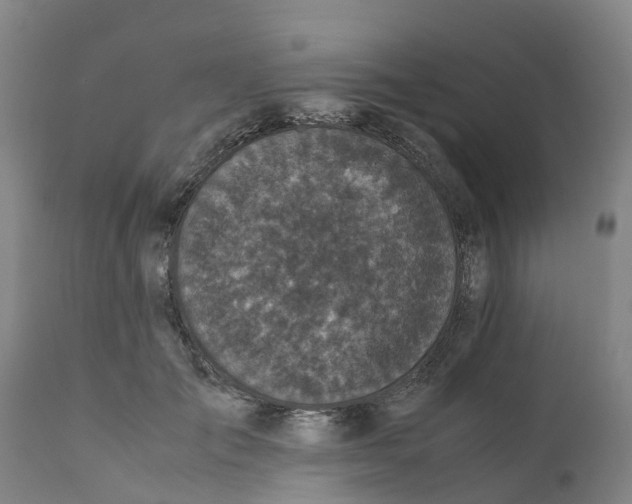 X0000111630701200908141343