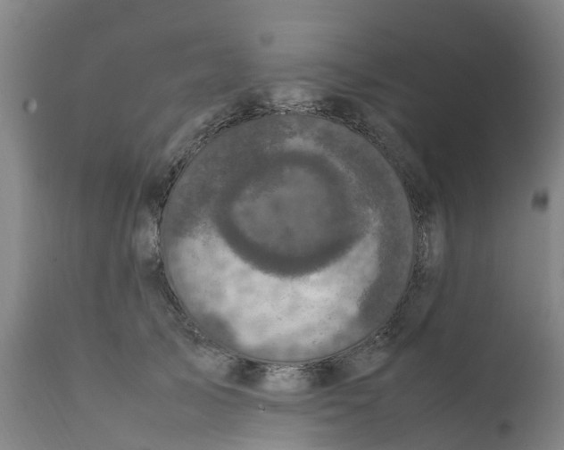 X0000111630705200908141343