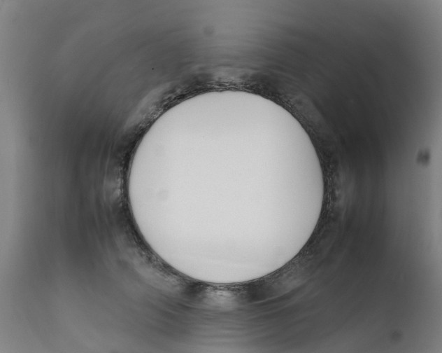 X0000111630706200908141343