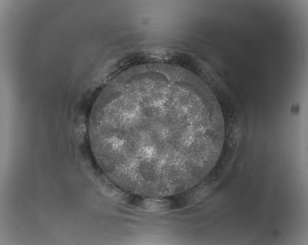 X0000111630707200908141343