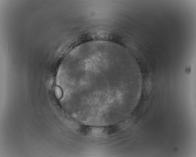 X0000111630709200908141343