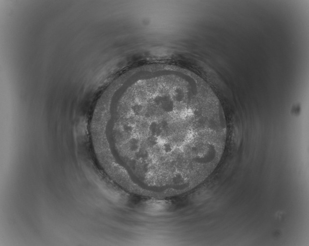 X0000111630711200908141343