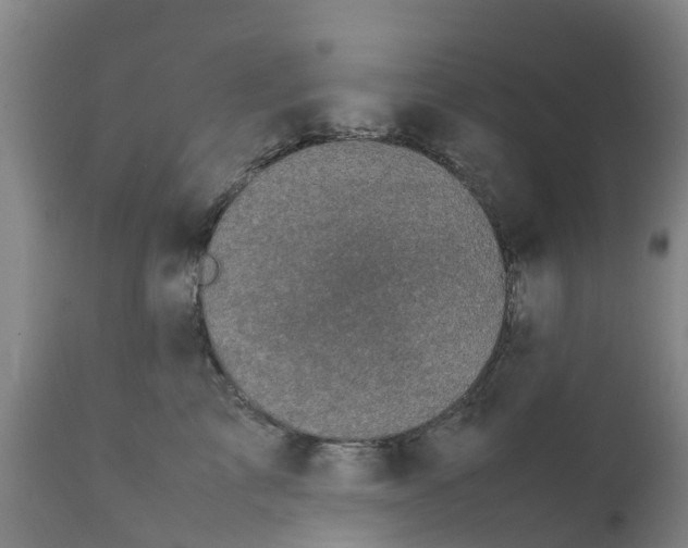 X0000111630713200908141343