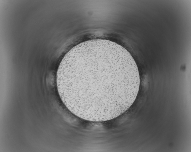 X0000111630715200908141343