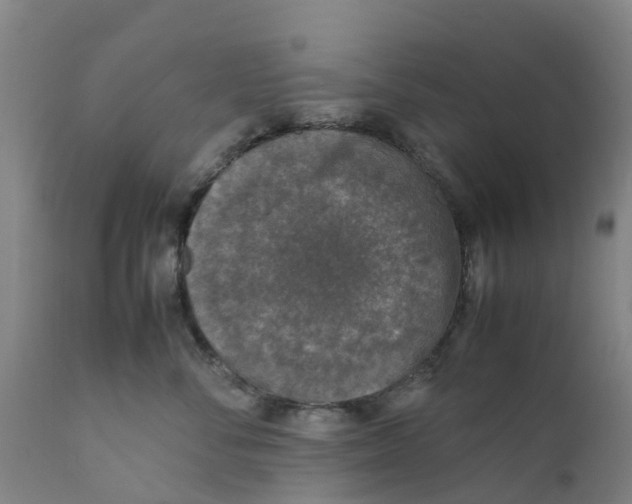 X0000111630716200908141343