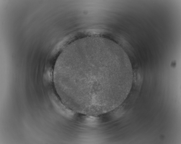 X0000111630718200908141343