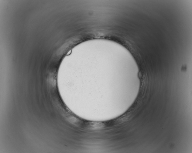 X0000111630719200908141343