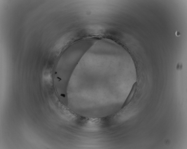X0000111630720200908141343
