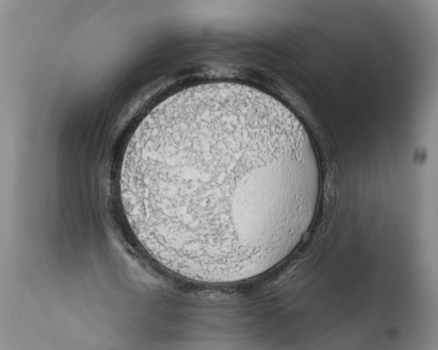 X0000111630722200908141342